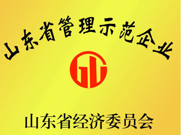 管理示范企業(yè)